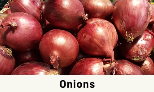 Onions