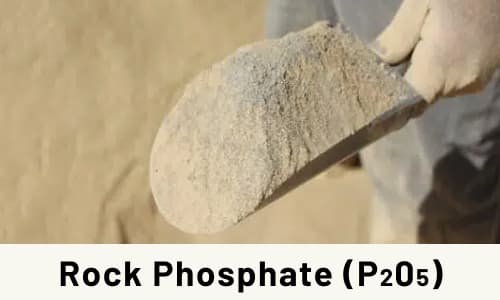 Rock Phosphate (P205)