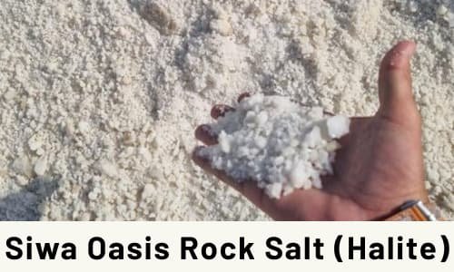 Siwa Oasis Rock Salt (Halite)
