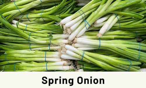 Spring Onion